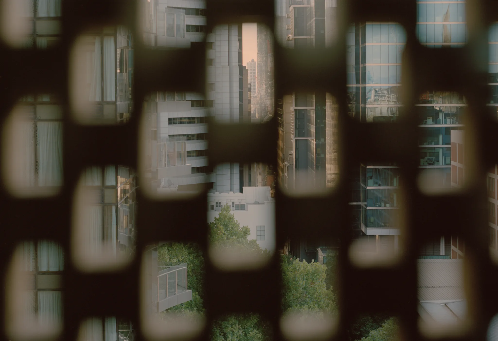 Image 25