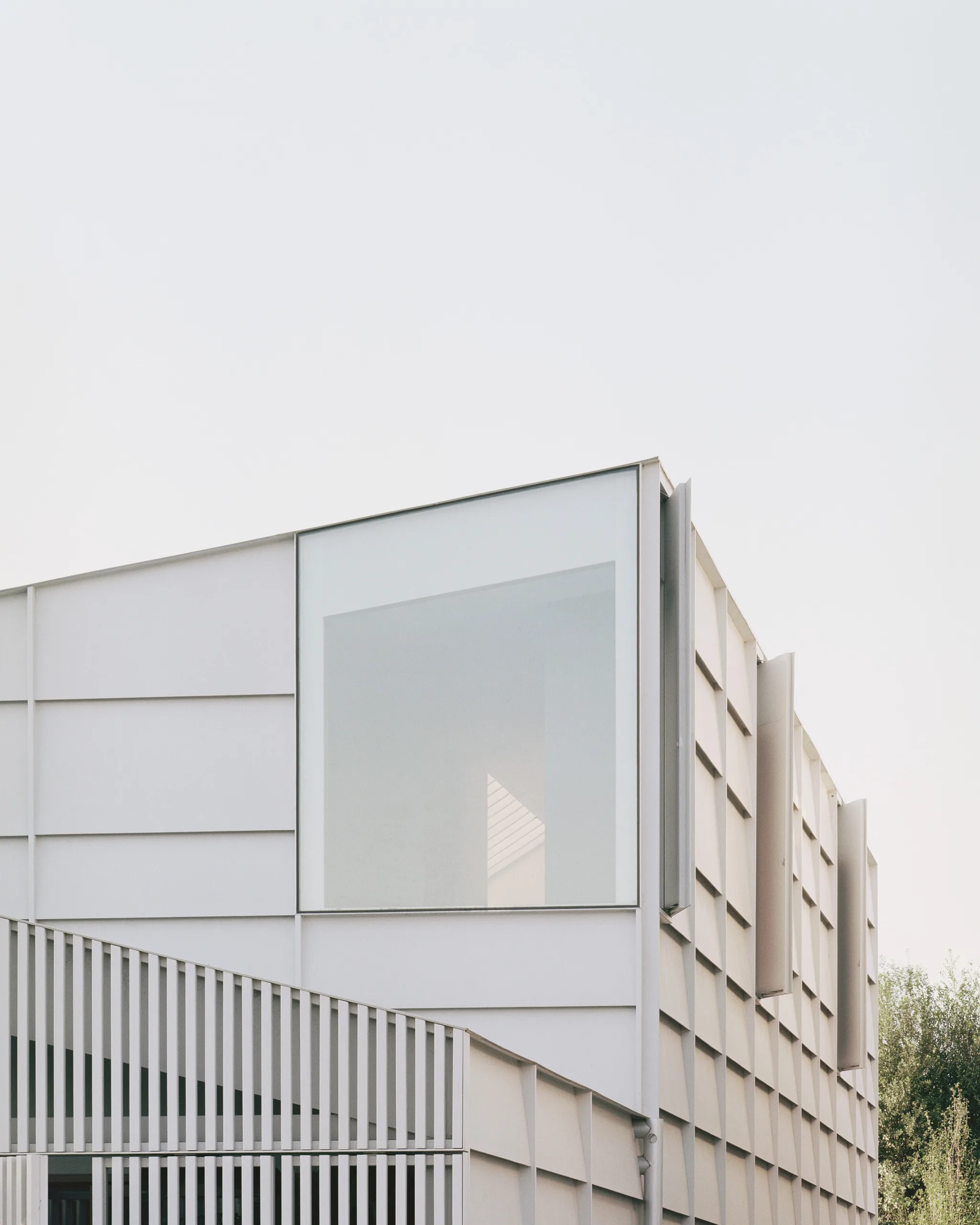Image 15